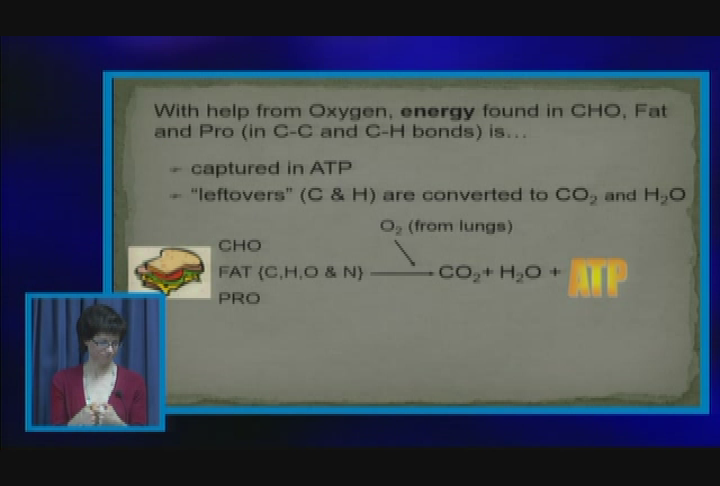 Thumbnail image for Nutrition