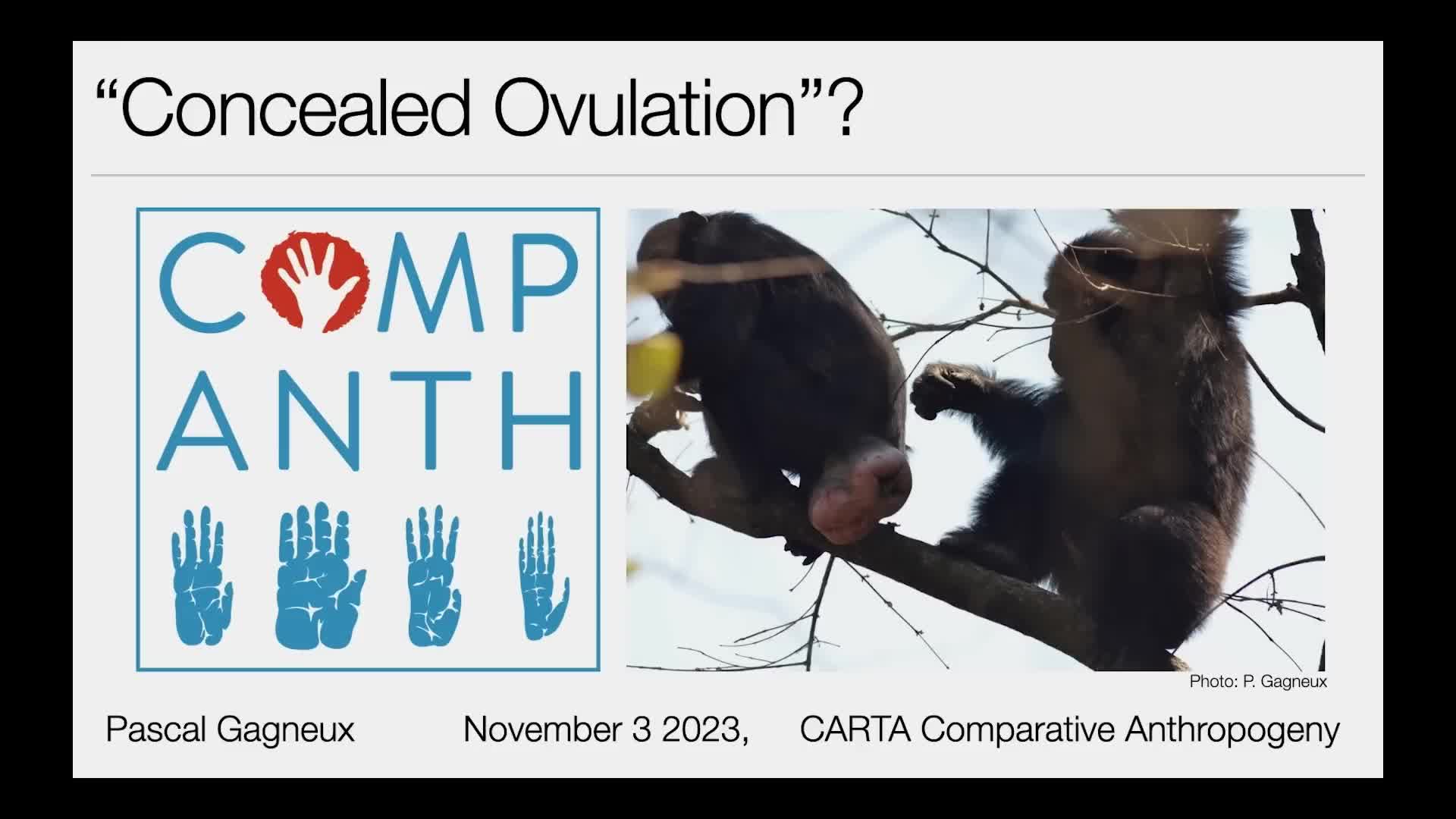 Thumbnail image for UCTV: CARTA: Comparative Anthropogeny - Did Humans Evolve Concealed Ovulation? with Pascal Gagneux