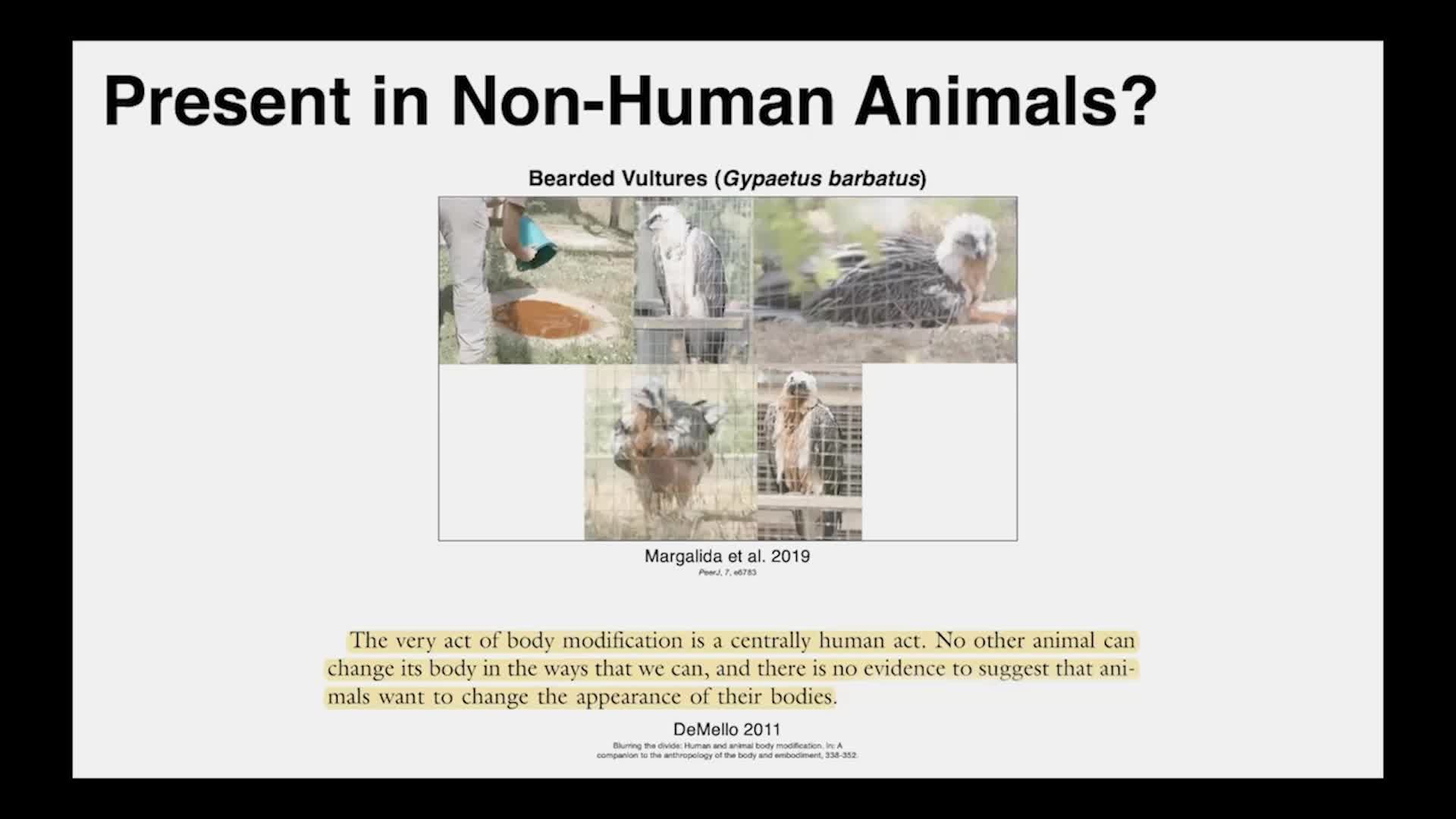 Thumbnail image for UCTV: CARTA: Permanent Body Modification: Archaeological and Early Historical Evidence with Brea McCauley