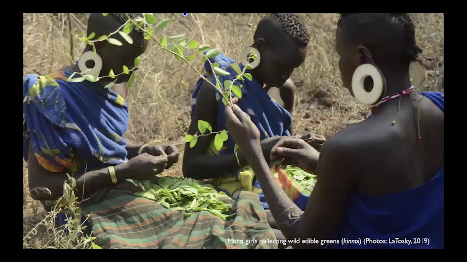 Thumbnail image for UCTV: CARTA: Lip Plates in Ethiopia with Shauna LaTosky