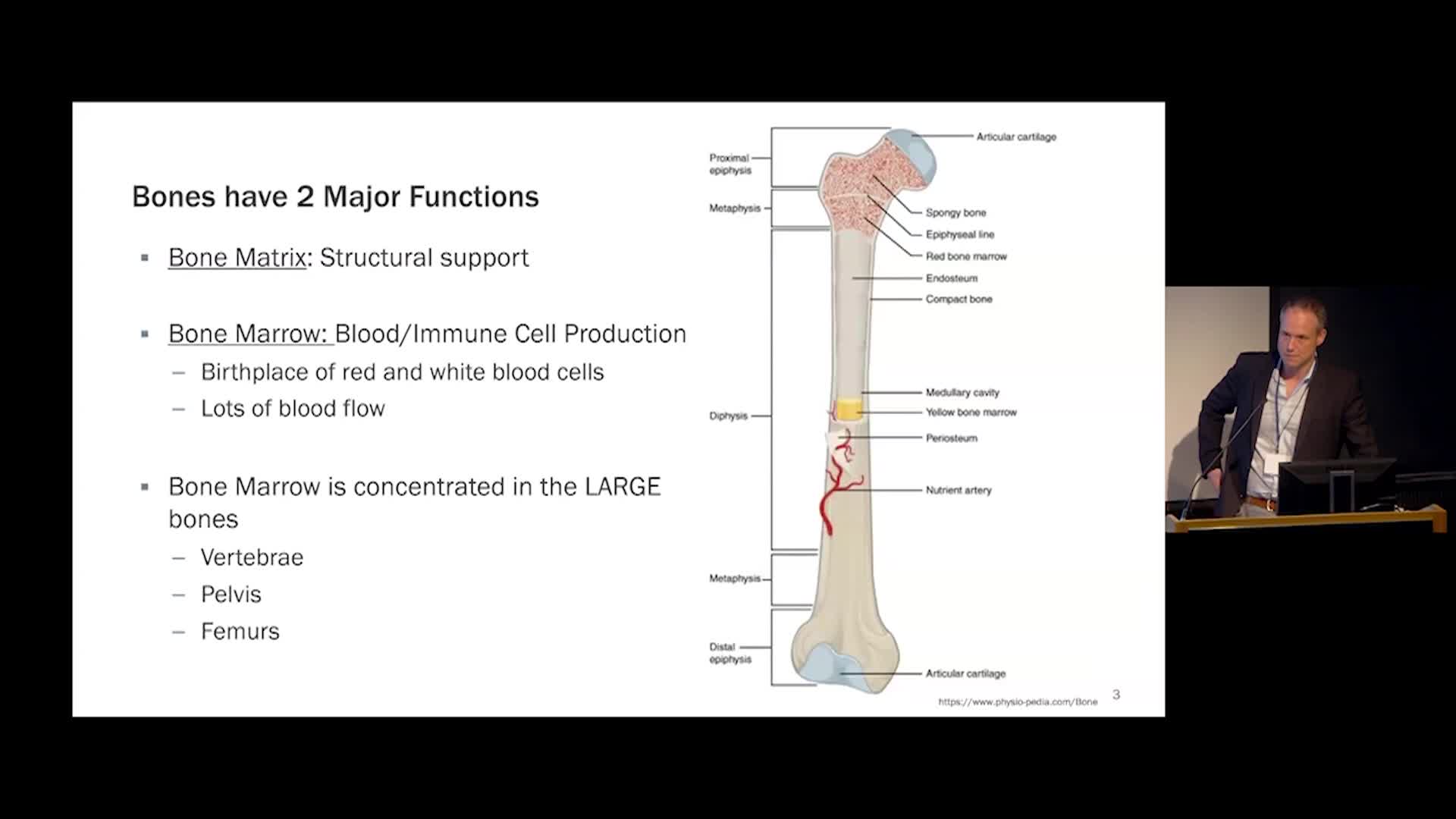 Thumbnail image for UCTV: Advanced Prostate Cancer: Optimizing Bone Health