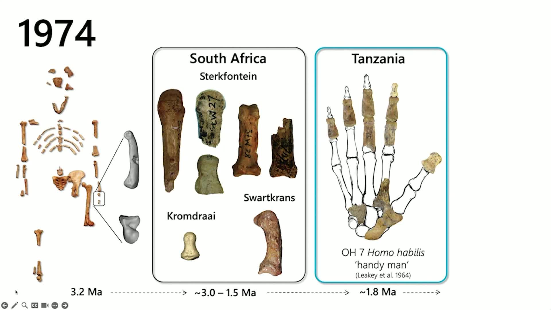 Thumbnail image for UCTV: CARTA: Lucy and Evolution of Hand Dexterity and Tool Use with Tracy Kivell
