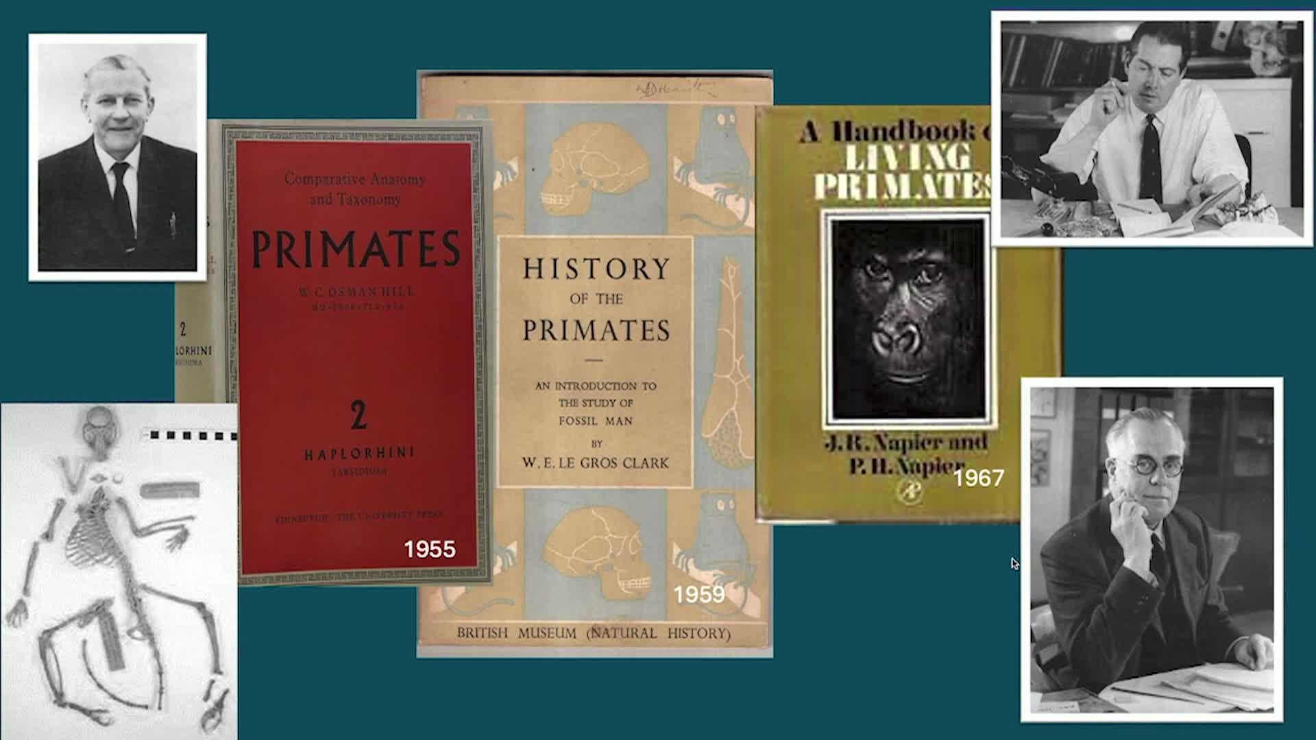 Thumbnail image for UCTV: CARTA: Lucy's Legacy and the Past and Future of Primate Research with Melissa Emery Thompson