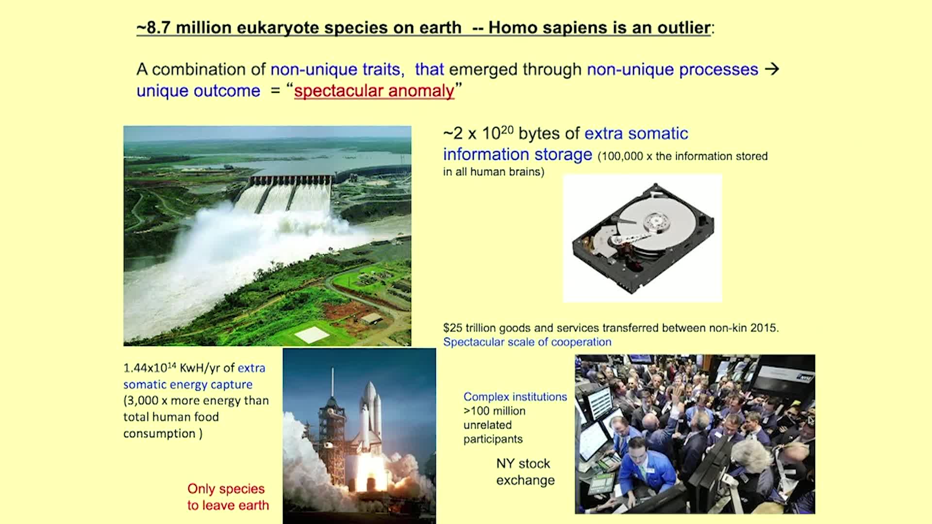 Thumbnail image for UCTV: CARTA: Lucy’s Contribution: Understanding the Sequence of Steps Leading to Human Uniqueness with Kim Hill