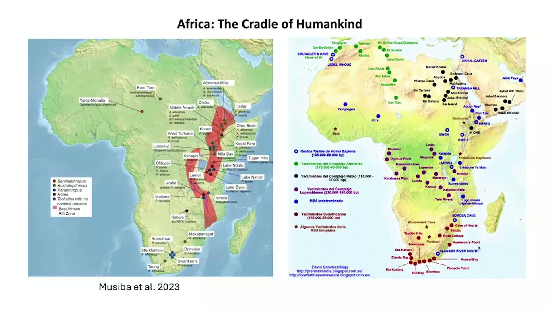 Thumbnail image for UCTV: CARTA: Lucy, African Heritage, and ‘Paleodoms’ with Job Kibii