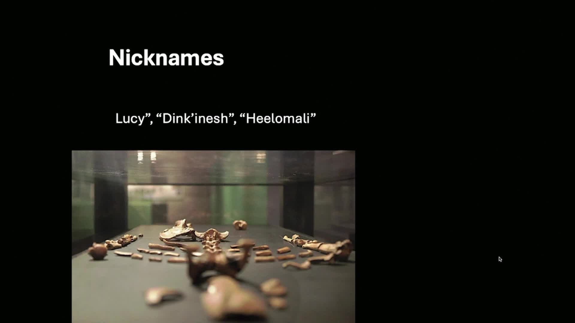 Thumbnail image for UCTV: CARTA: Naming Lucy: Taxonomic Reasoning in Paleoanthropology with Andra Meneganzin