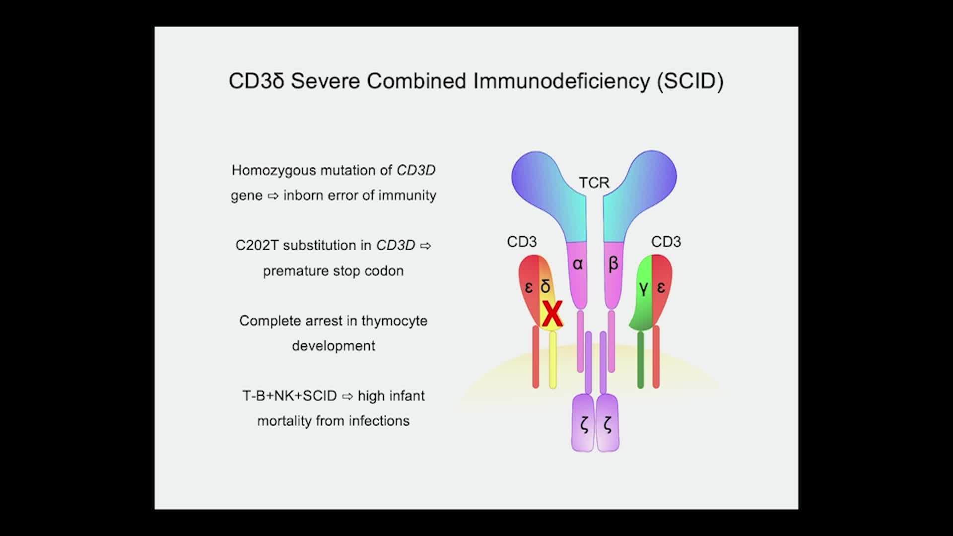 Thumbnail image for UCTV: Restoration of T Cell Development in CD3d SCID Through Adenine Base-Editing with Gloria Yiu - Sanford Stem Cell Symposium 2024