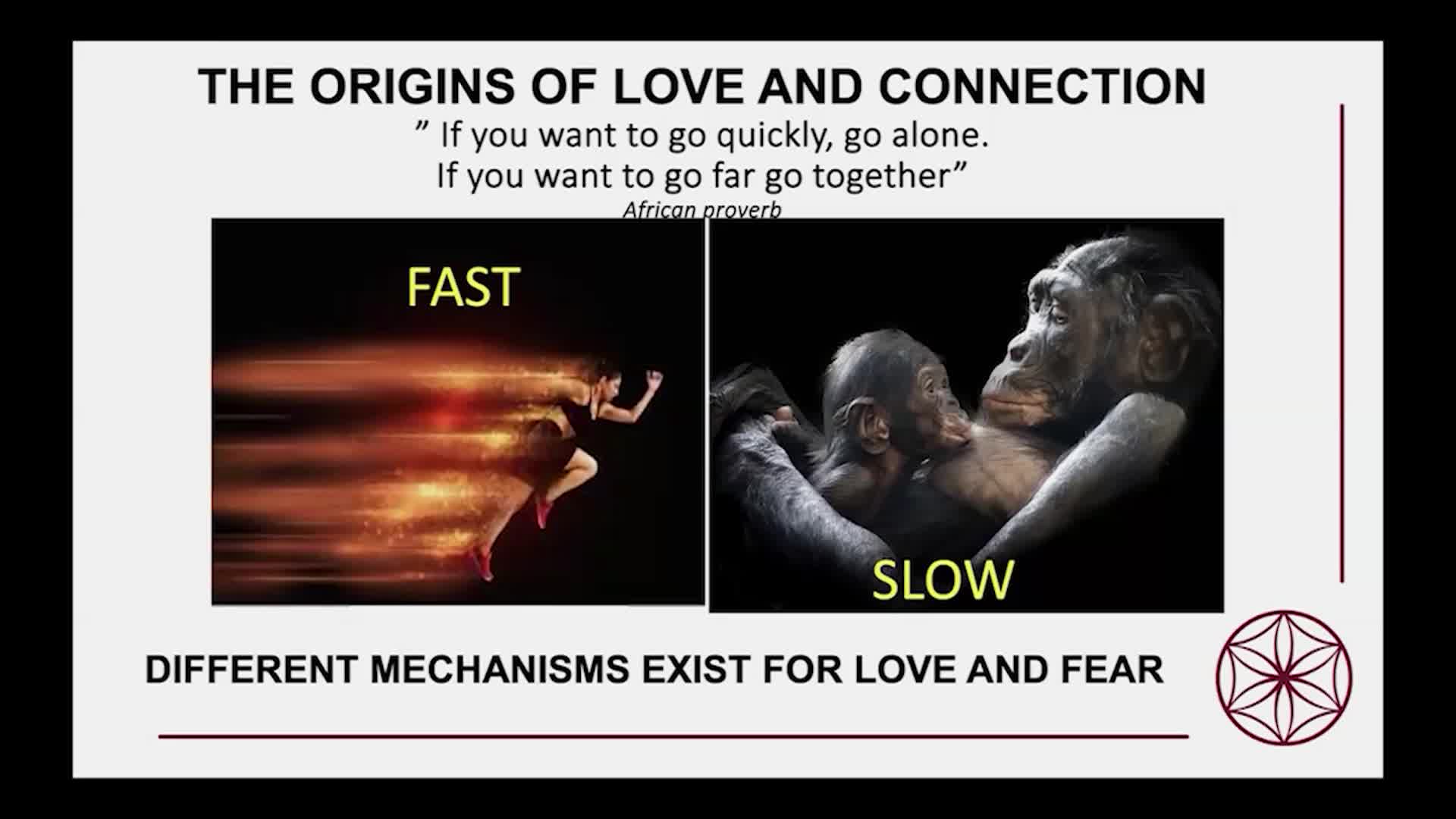 Thumbnail image for UCTV: CARTA: The Healing Power of Love: The Oxytocin Hypothesis with Sue Carter