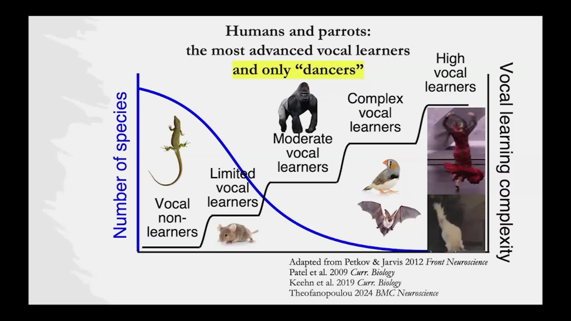 Thumbnail image for UCTV: CARTA: Oxytocin's Pathway to the Origins of Speech and Dance with Constantina Theofanopoulou