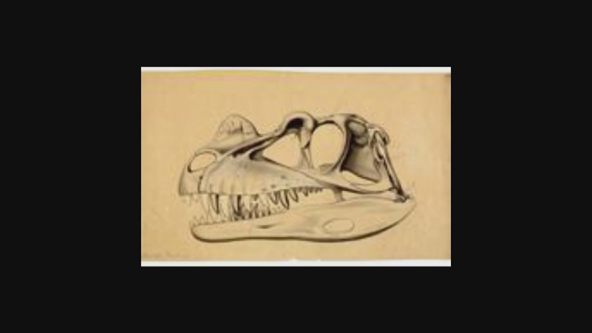 Thumbnail image for Smithsonian: Science How? Inside the Smithsonian's Fossil Prep Lab with Michelle Pinsdorf