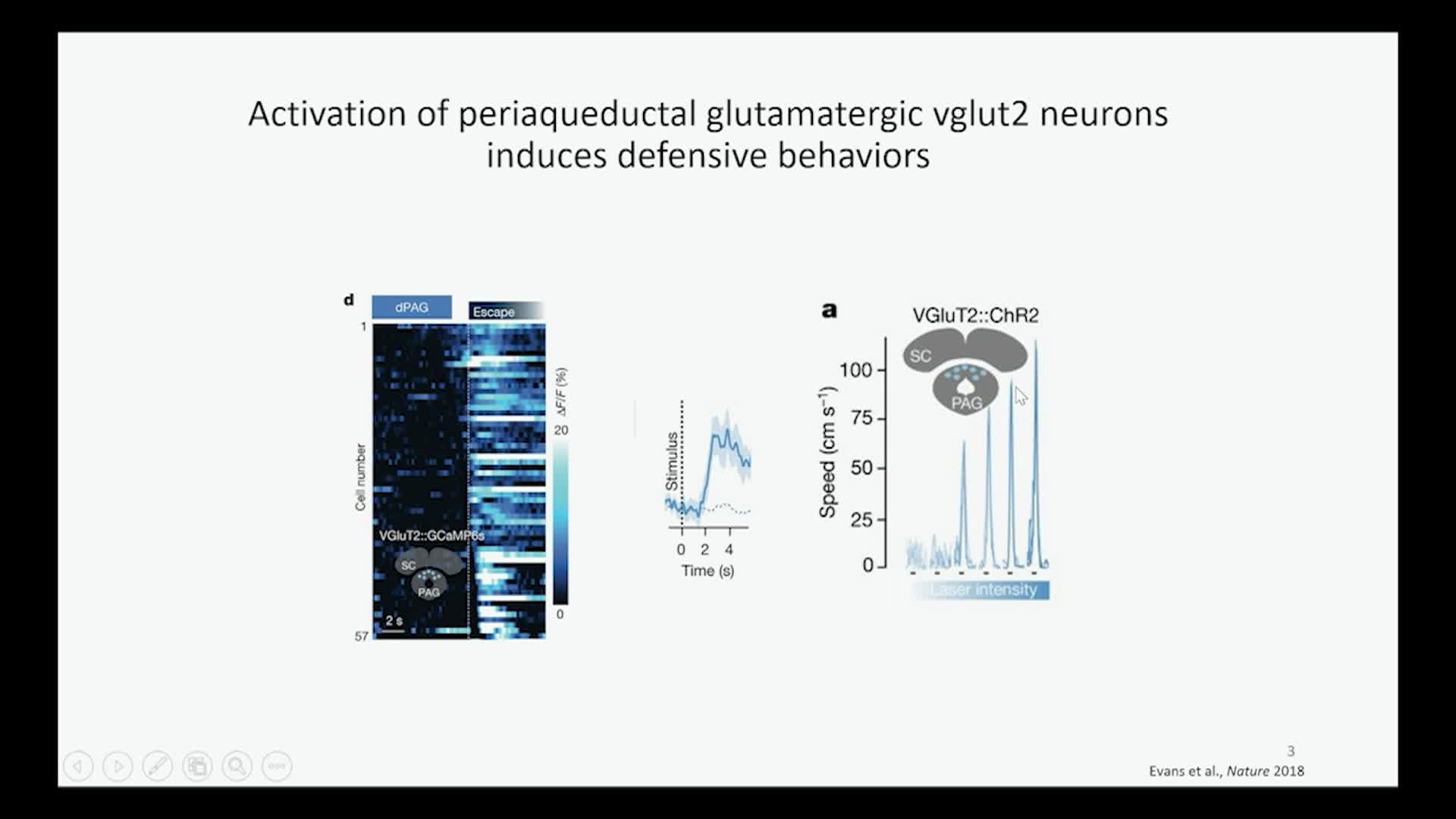 Thumbnail image for UCTV: Bottom-Up Midbrain-Subthalamic Control of Feeding