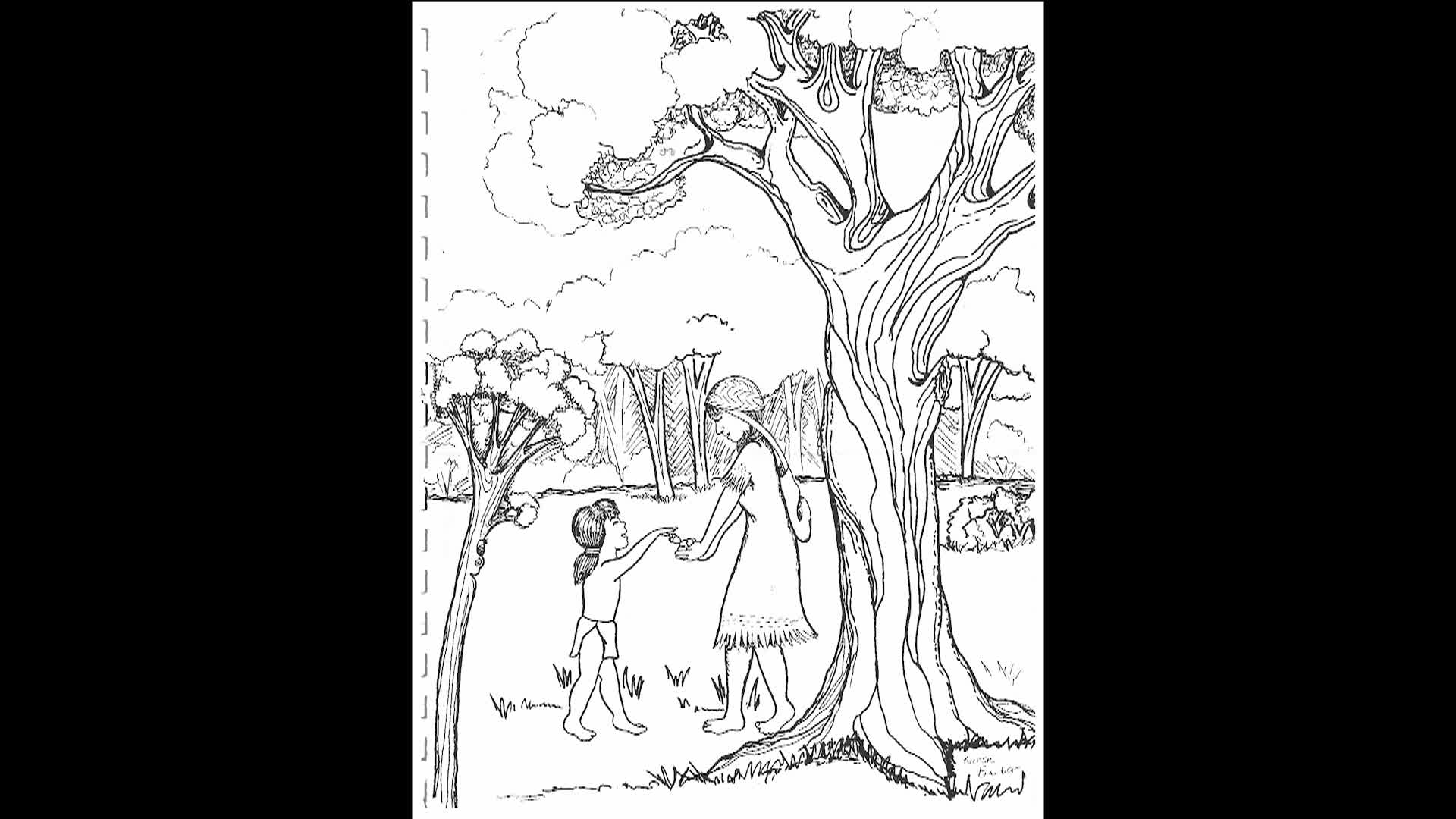 Thumbnail image for Center JUSD: The Story Of The Center Unified School District