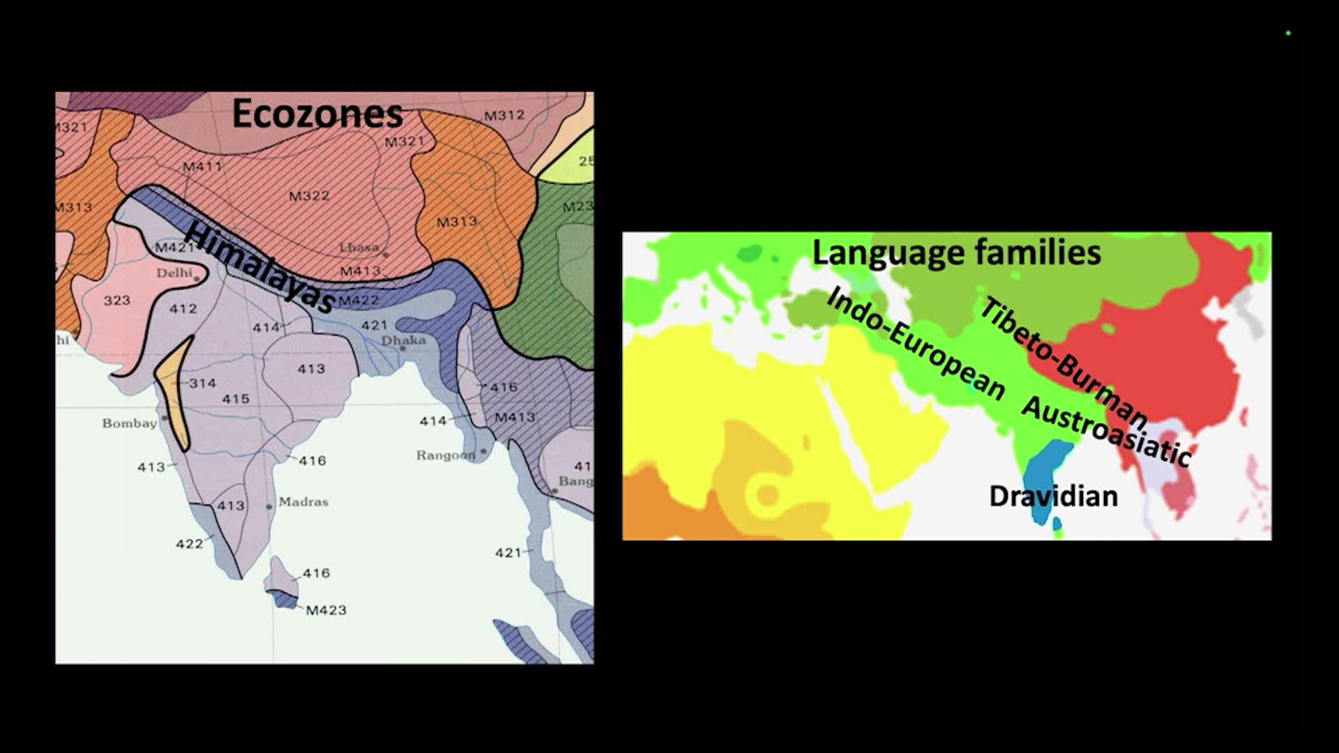 Thumbnail image for UCTV: CARTA: Genetic History of Humans and Animals in South Asia with Maanasa Raghavan