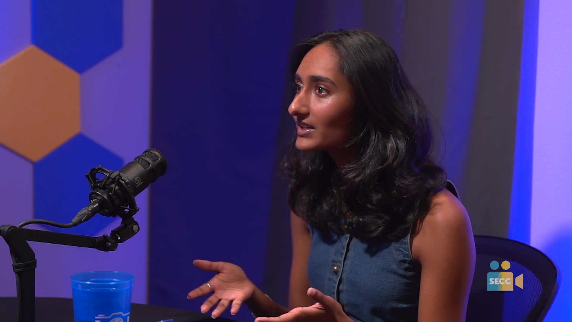 Thumbnail image for Lights, Camera, Learn! Episode 33 - Tanaya Safi
