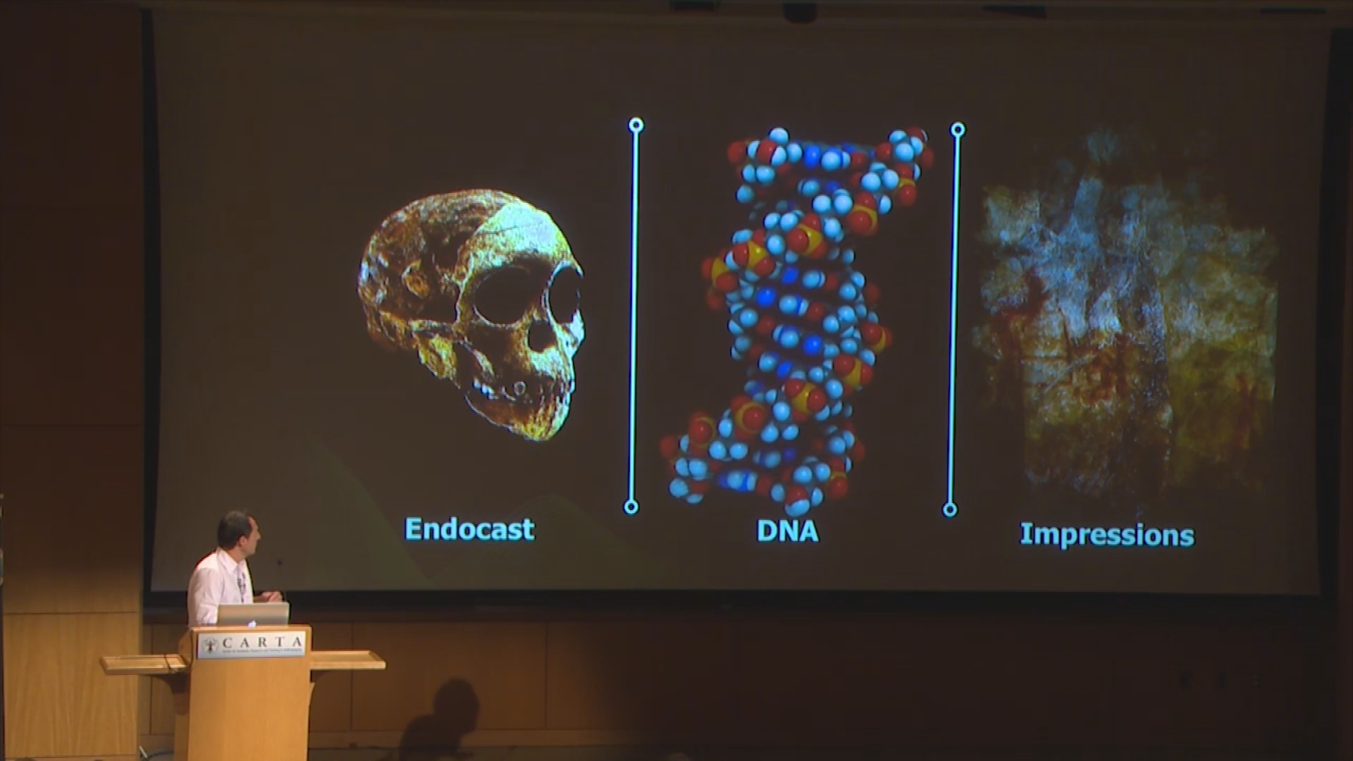 Thumbnail image for UCTV: CARTA: Imagination and Human Origins - Polly Wiessner, Adrie & Alfons Kennis, Alysson Muotri