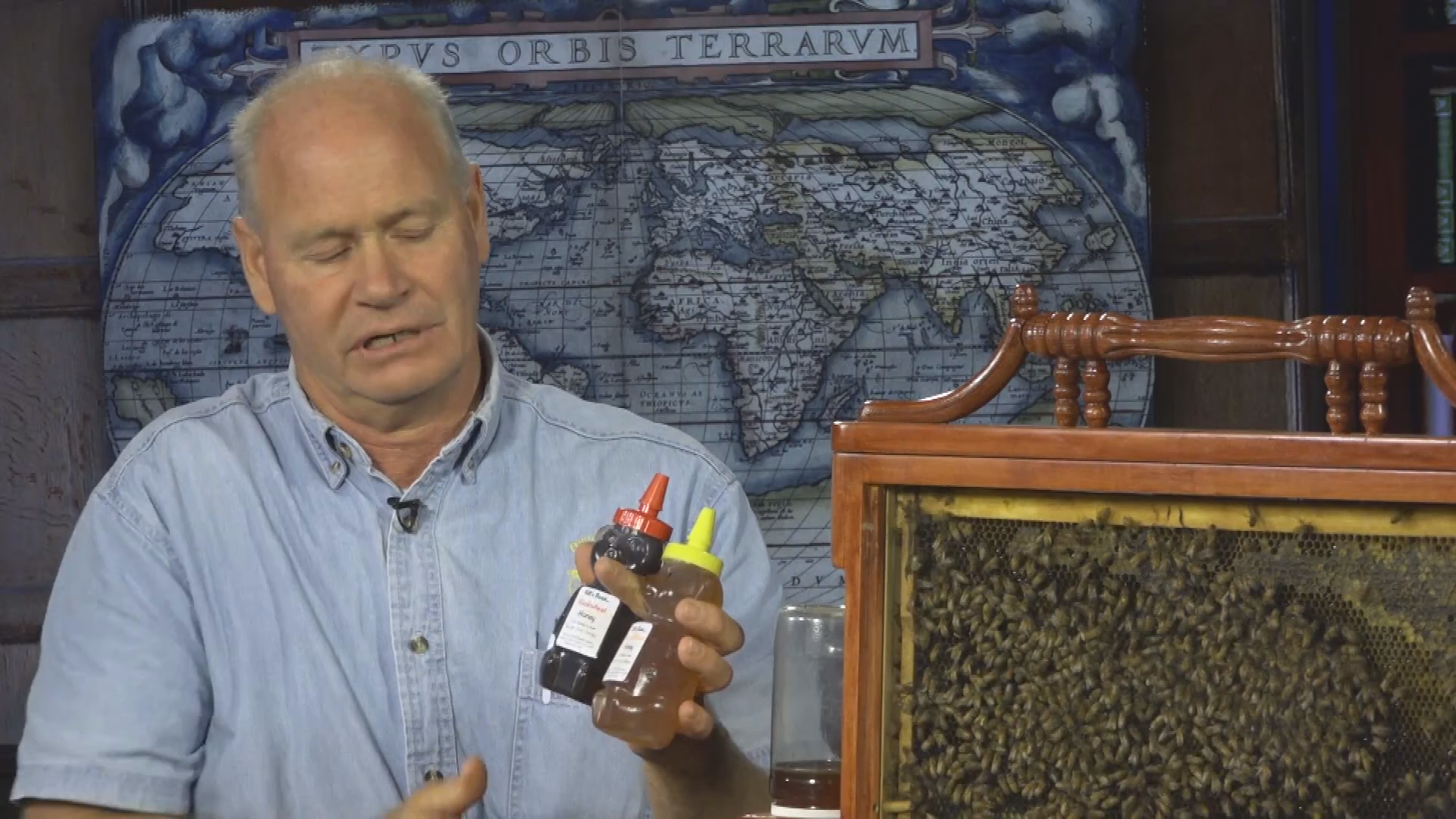 Thumbnail image for CSU Long Beach: BeachTV Talking Points - All the Buzz About Bees
