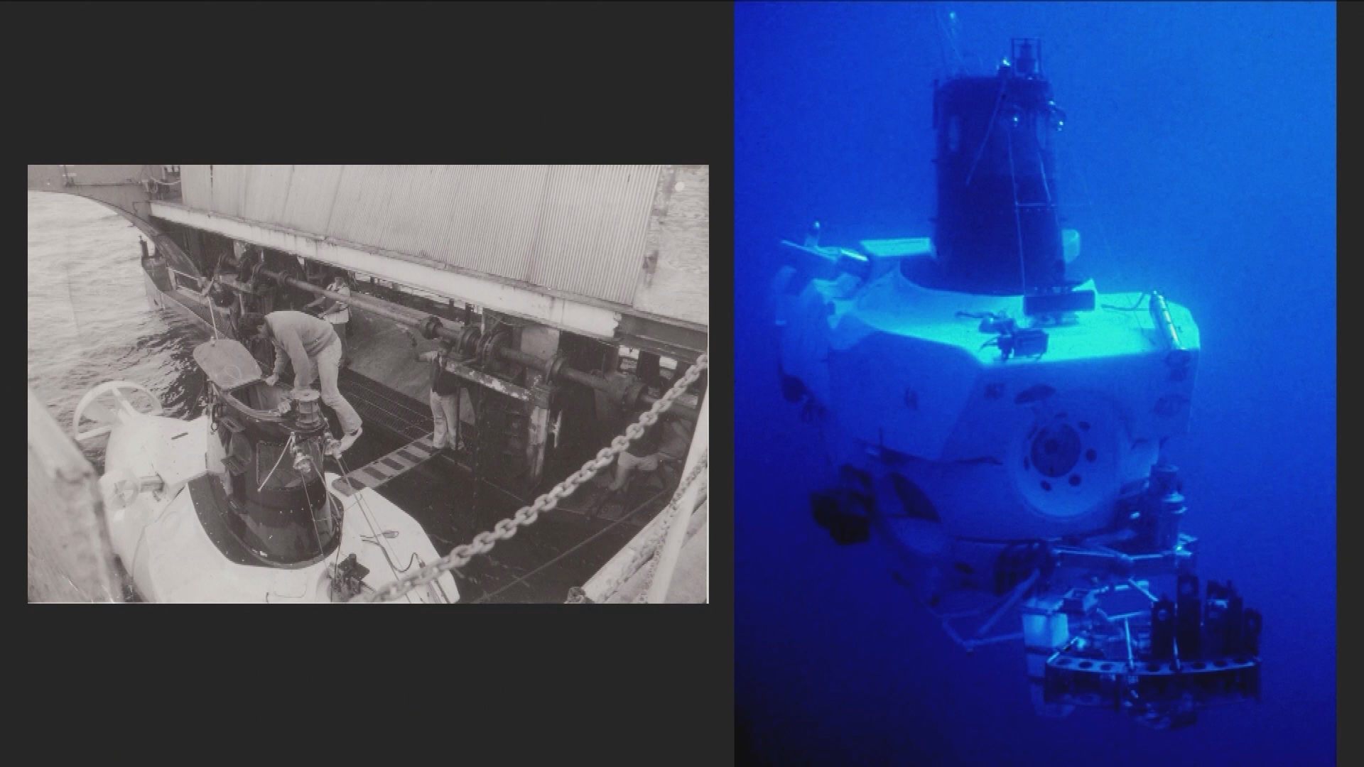 Thumbnail image for Science How? A Century of Discovery of Sea Urchins and Relatives with Zoologist Dave Pawson