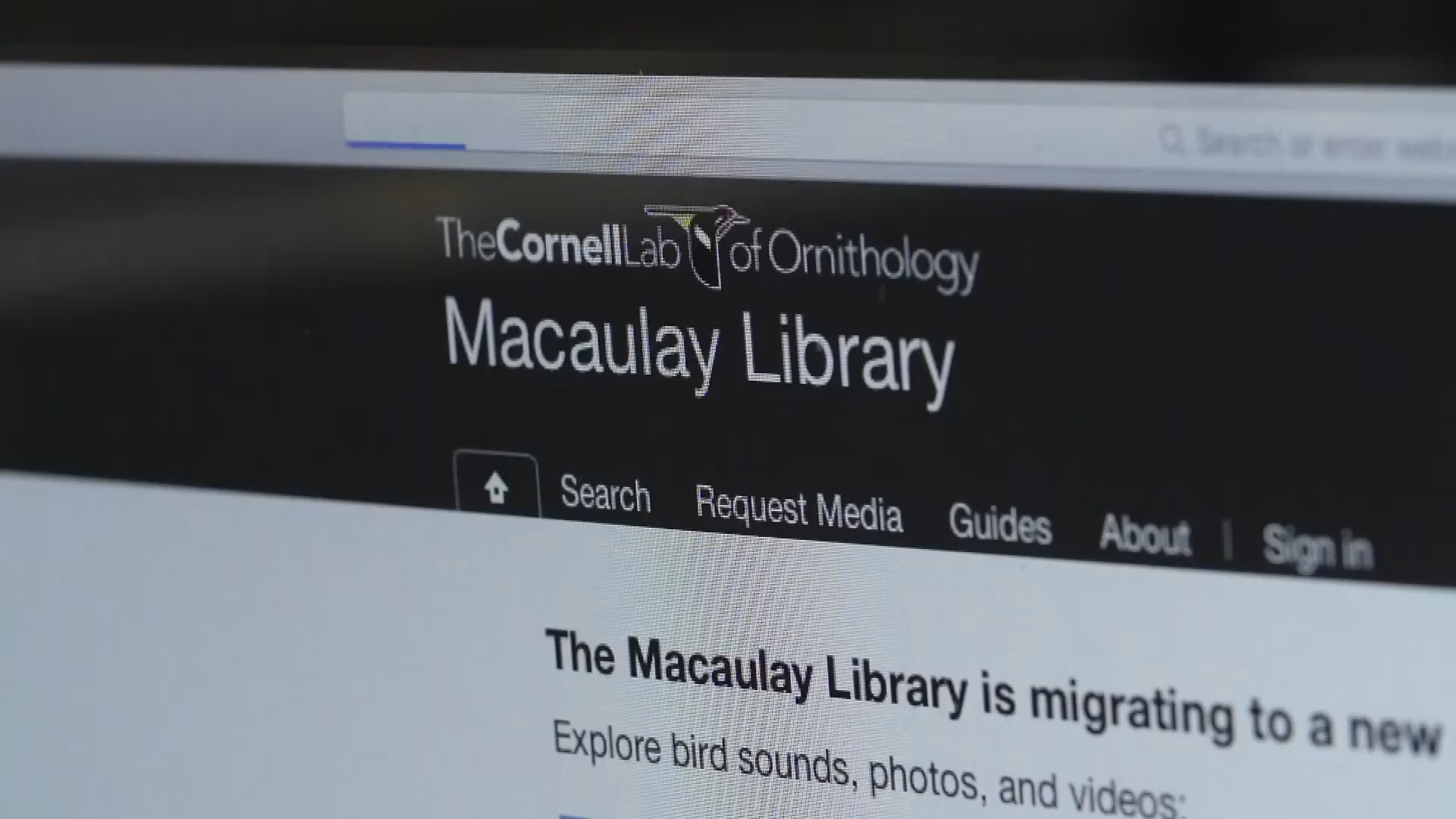 Thumbnail image for NSF: Decades of Bird Signals Digitized for Research