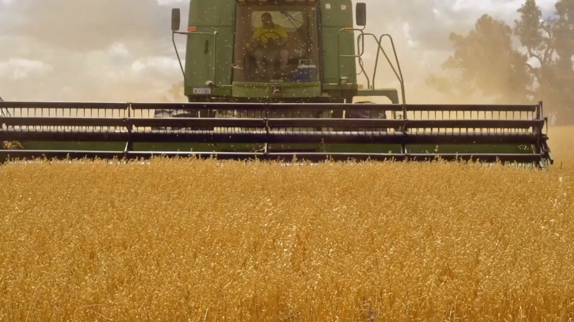 Thumbnail image for NSF: Sustainable Agriculture