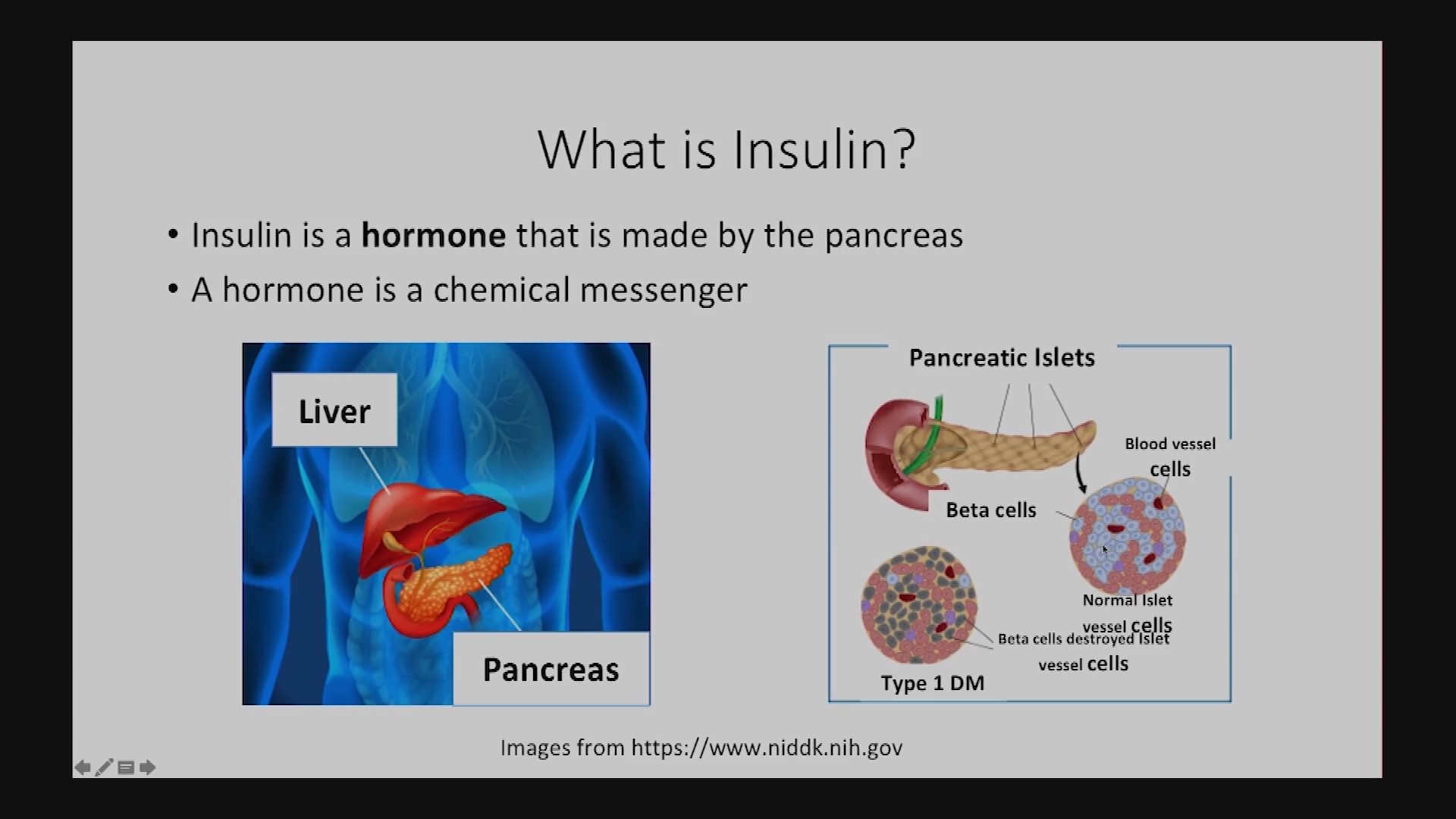 Thumbnail image for UCTV: The Basics of Insulin