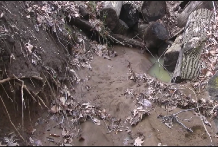 Thumbnail image for USGS - Video Collection 2