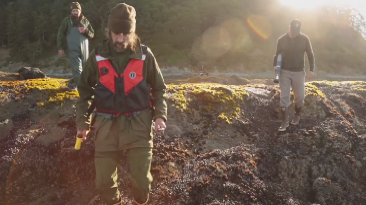 Thumbnail image for Tides of Change - Olympic National Park