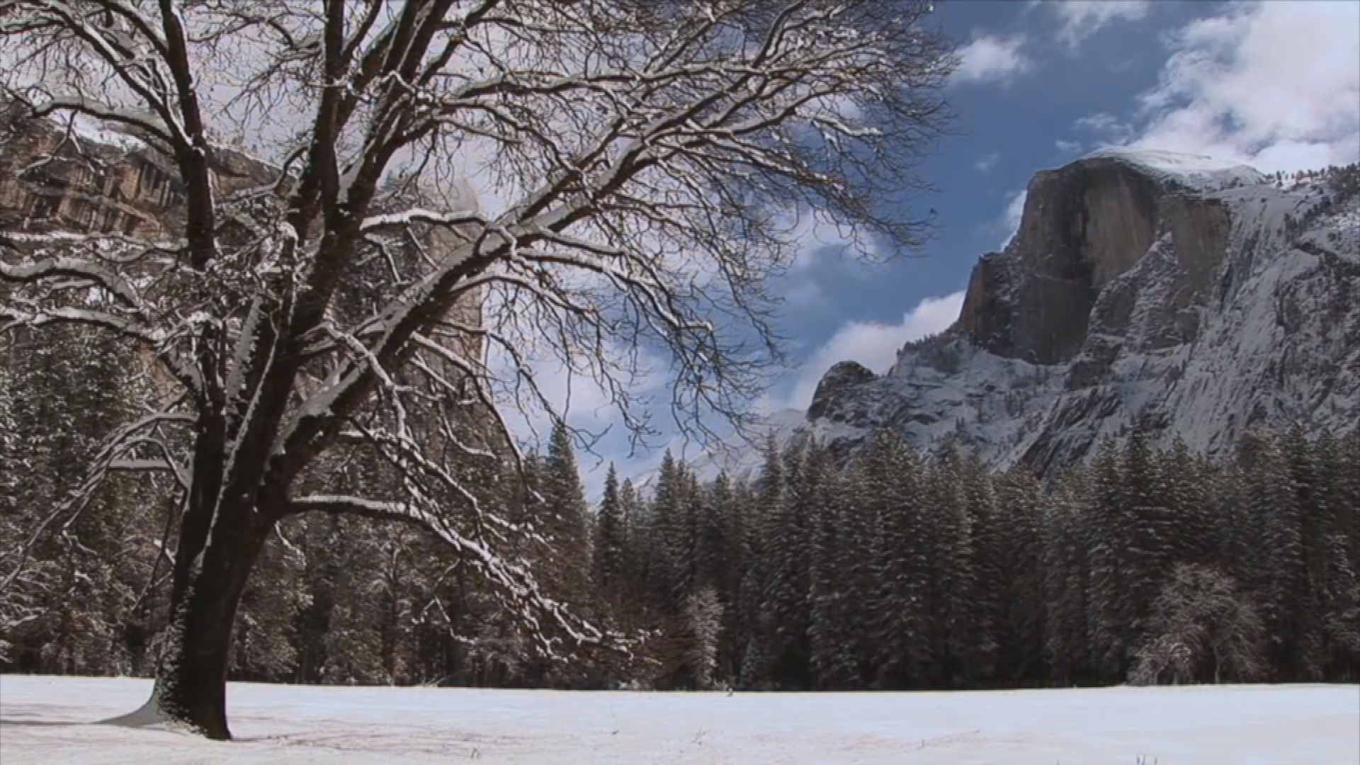 Thumbnail image for Yosemite National Park:  Nature Notes - Part 1