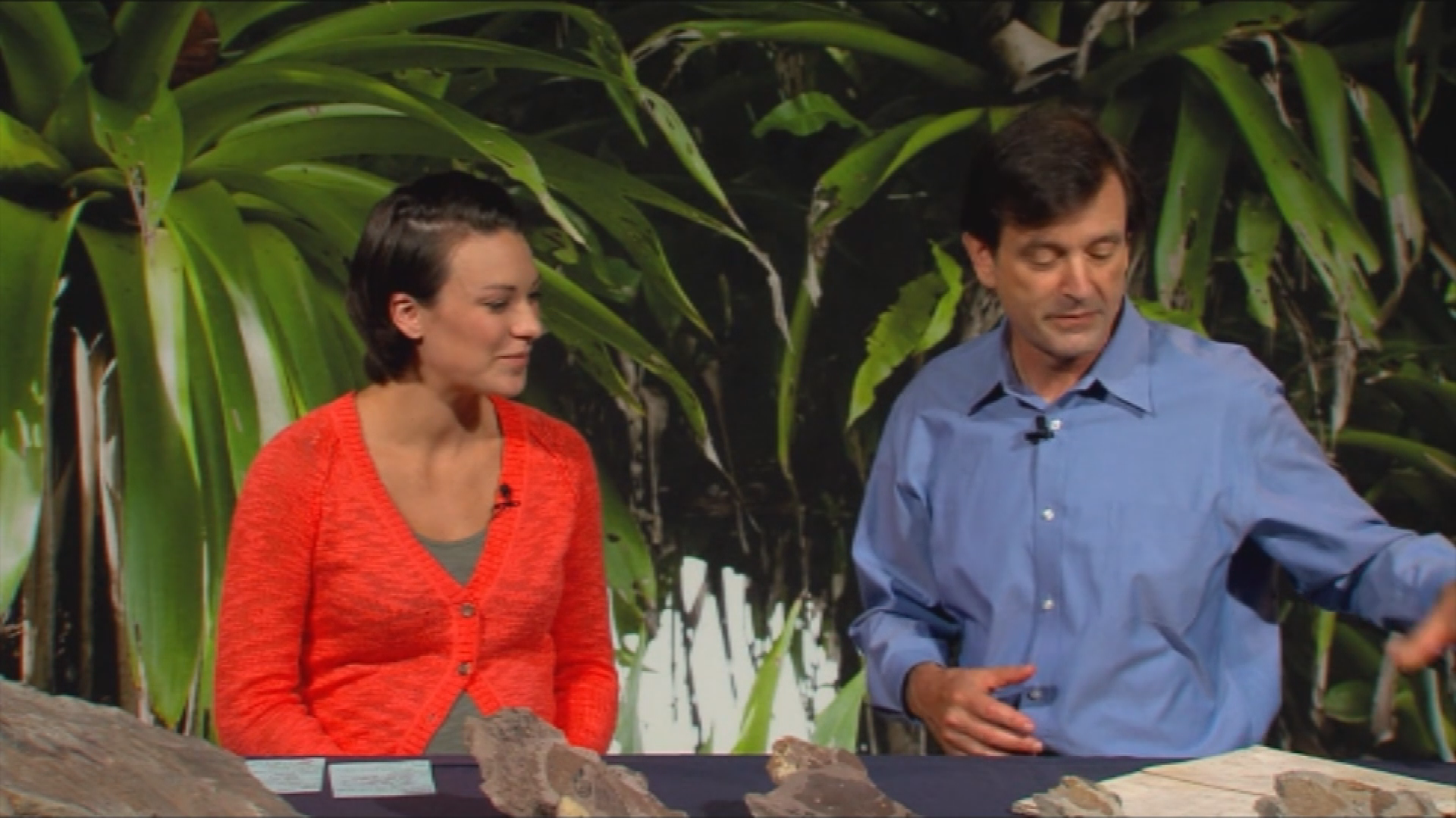 Thumbnail image for Science How? Paleobotany - Climate Change Past and Present