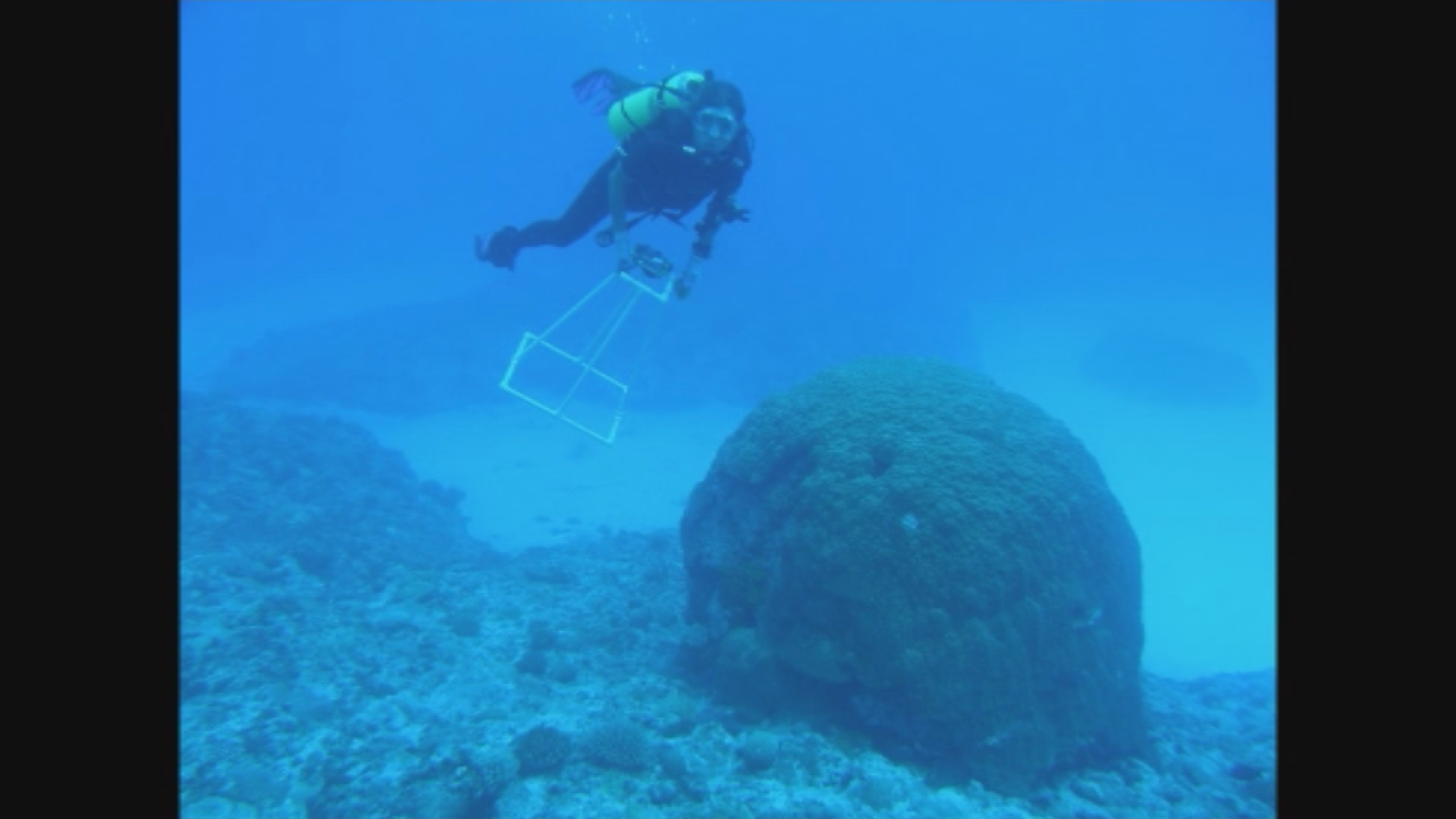 Thumbnail image for Science How? Exploring the Unexplored - Deep Reef Biodiversity
