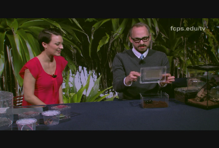 Thumbnail image for Science How? Arthropod Adaptations - Inside the Insect Zoo