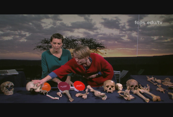 Thumbnail image for Science How? Forensic Anthropology - Bone Whispering